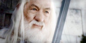 Gandalf from Lord of the Rings | Nursing Equipment South West